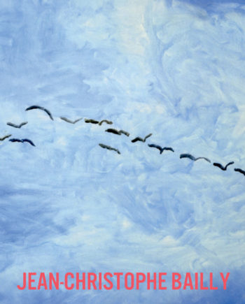 n° 1046-1047-1048 - Jean-Christophe Bailly - juin / août 2016