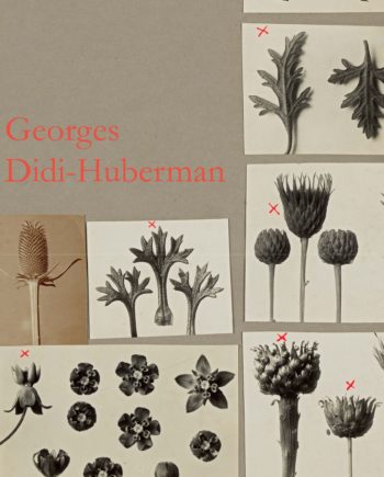 n° 1069 - Georges Didi-Huberman - James Sacré - mai 2018