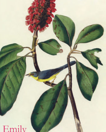 n° 1137-1138 – Emily Dickinson – janvier/février 2024